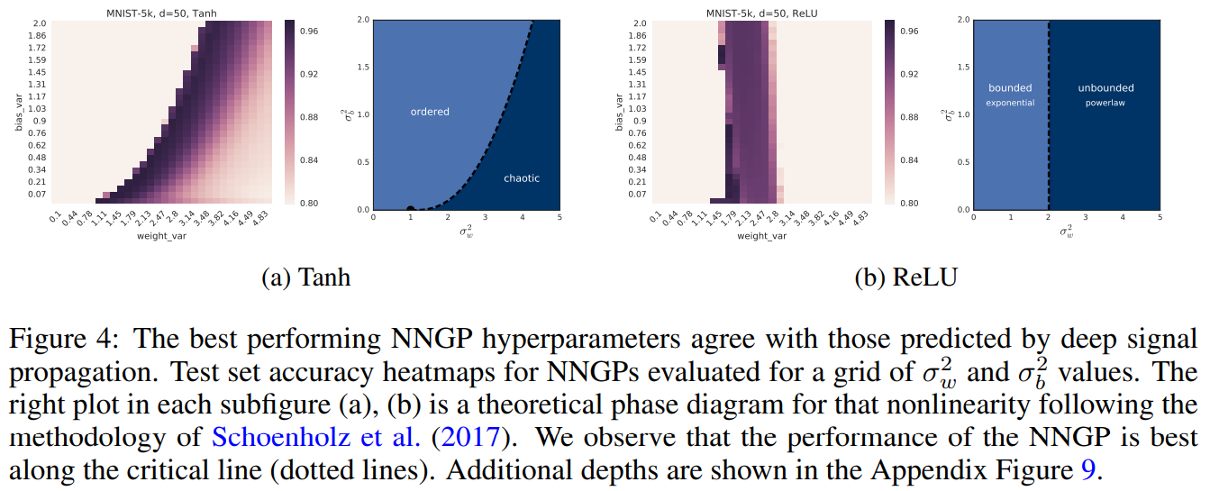 NNGP signal propagation