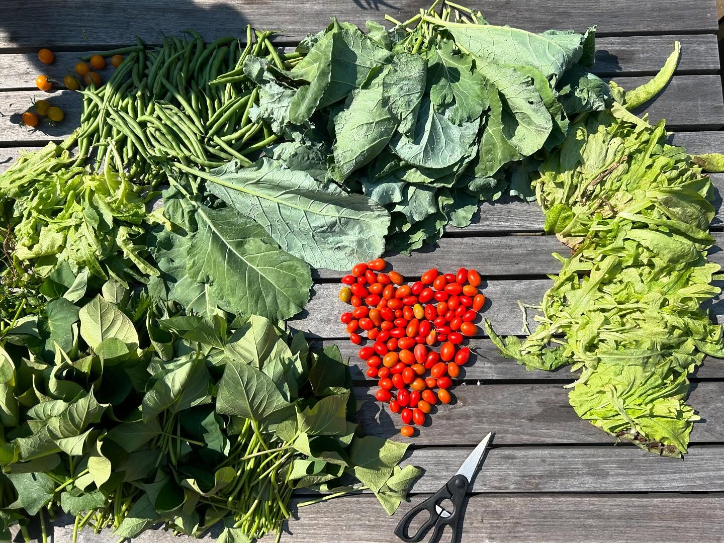 Gardening Handbook project